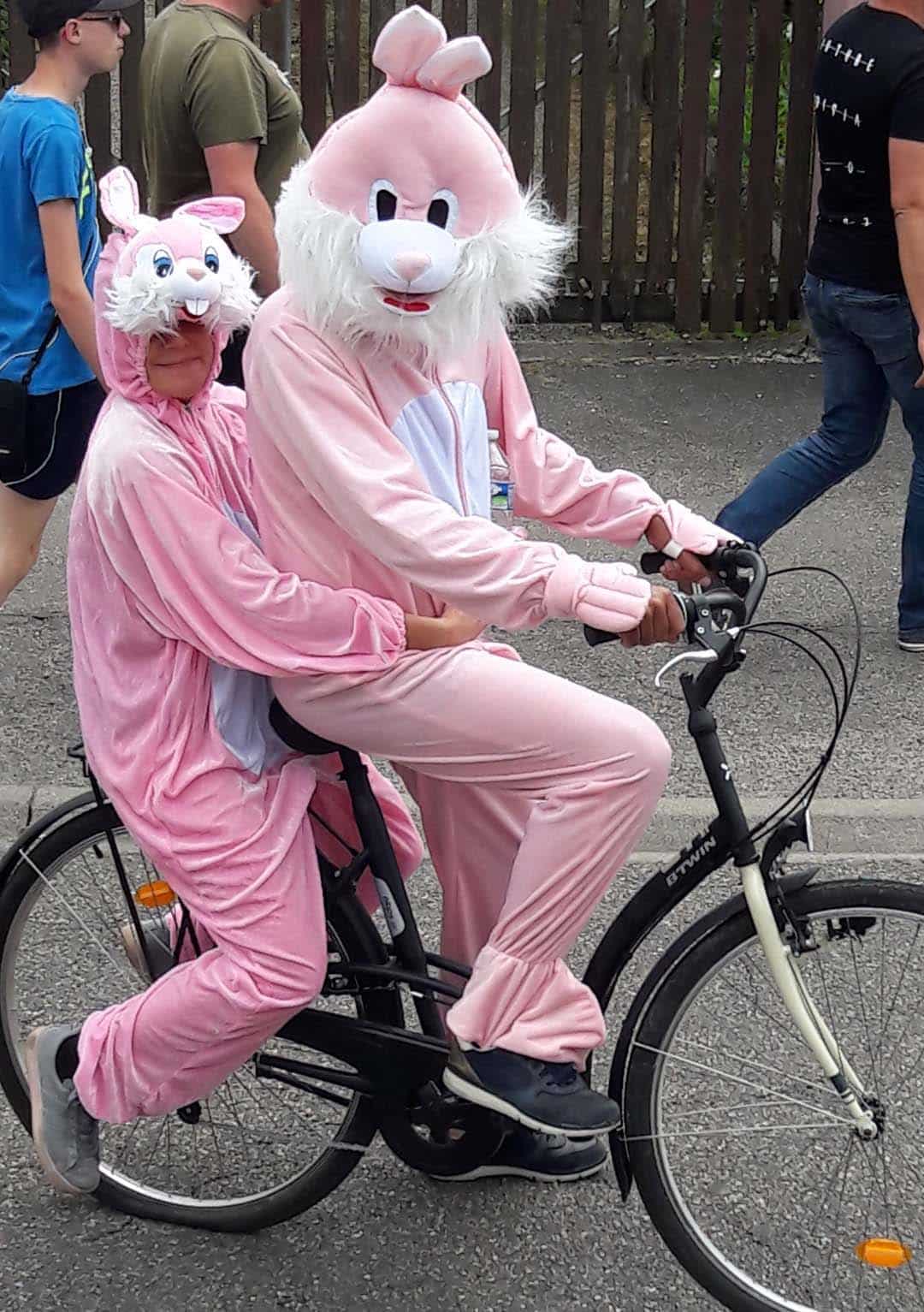 lapin-rose-XXL